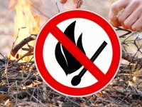 О ландшафтных пожарах на территории Республики За прошедшие выходные в Республике спасатели МЧС России ликвидировали 29 пожаров в экосистеме, всего же их зафиксировано 45. Выгорела территория общей площадью более 59 гектаров. Наиболее серьезный урон был нанесен природе в Антрацитовском районе, где в окрестностях села Картушино сгорело 30 гектаров сухой растительности МЧС России обращает внимание граждан: в регионе закрепилась устойчиво засушливая погода, действует особый противопожарный режим! В связи с этим запрещается: - разводить костры на открытых территориях; - бросать где попало непотушенные окурки и спички; - выжигать сухую траву.
