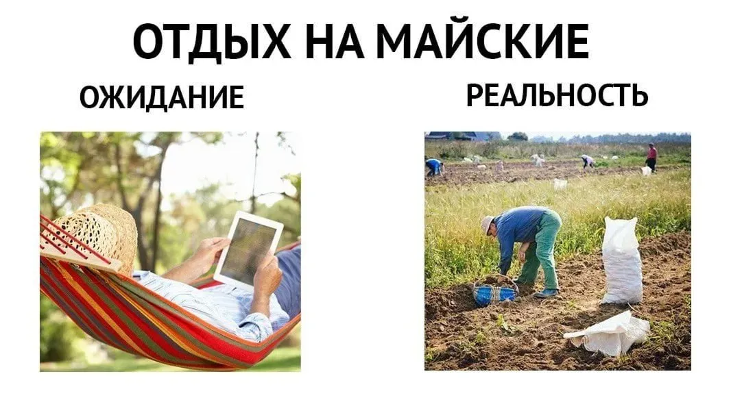 Аренда домов на майские праздники в России подорожала на 9 Средняя стоимость аренды домов на майские праздники в России составляет 10 2 тыс рублей в сутки что на 9 больше чем год назад посчитали аналитики При этом лидируют по числу бронирований Ленинградская и Московская области А в прошлом году на первом месте по спросу были Карелия и Ставропольский край Где аренда домов стоит дороже всего В Подмосковье 15 9 тыс рублей в сутки 5 В Минской области 14 4 тыс рублей в сутки 2 Во Владимирской области 13 4 тысячи рублей 11 В Ленинградской области 11 8 тыс рублей 8 В Татарстане 11 7 тыс рублей 5 В Карелии 10 3 тыс рублей 13 В Краснодарском крае 9 8 тыс рублей 22 Как выяснили аналитики в среднем россияне бронируют дома на три дня и тратят на аренду немногим более 30 6 тыс рублей А вы планируете поехать отдыхать на майские   буду дома хорошо что у меня дача есть уже забронировал отель дом Подписаться на truekpru Читать нас в MAX
