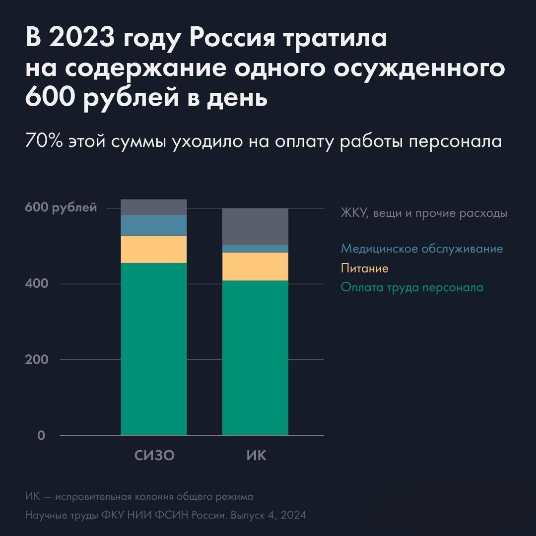 ₽600 в день – столько тратила Россия на содержание одного заключенного в 2023 году. Хотя эта сумма за последние годы выросла, она остается самой низкой среди европейских стран.   Такие данные указаны в бухгалтерской отчетности учреждений уголовно-исполнительной системы. Они были опубликованы в сборнике научно-исследовательского института ФСИН:  • 70% от этой суммы тратится на оплату работы персонала;  • расходы на питание и медицинское обслуживание заключенных, коммунальные услуги и вещевое довольствие занимают около 27%;  • остальное – амортизация зданий и оборудования.