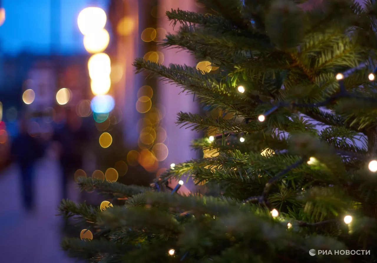 Только 13 россиян в этом году собираются украсить дом живой елью у 11 будет традиционное срубленное дерево а у 2 дерево в кадке которое весной можно пересадить в грунт рассказали РИА Новости аналитики МТС AdTech Большинство 70 выбирают искусственную елку у 4 будет дизайнерская а совсем без праздничного дерева обойдутся 14 В целом покупать новогодний декор в этом году планируют 57 жителей России у каждого третьего украшения уже есть а каждый пятый считает их ненужными Подписаться на РИА Новости экономика Все наши каналы