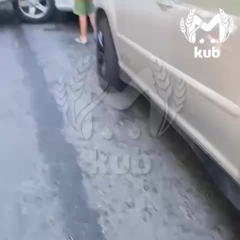 В Махачкале задержан водитель, наехавший на щенят