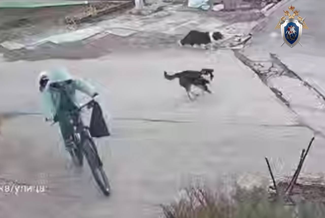 В Ессентуках на ребенка напали собаки В социальных сетях стражи порядка заметили публикацию о том что в городе Ессентуки на возвращавшегося из магазина мальчика напали бездомные собаки одна из которых укусила ребенка Ребенку потребовалась медицинская помощь сейчас его жизни и здоровью ничего не угрожает По данному факту было возбуждено уголовное дело по статье Халатность Также приняты меры к организации отлова безнадзорных животных По уголовному делу проводятся проверки направленные на установление всех обстоятельств произошедшего ГТРК Ставрополье Читайте нас в MAX