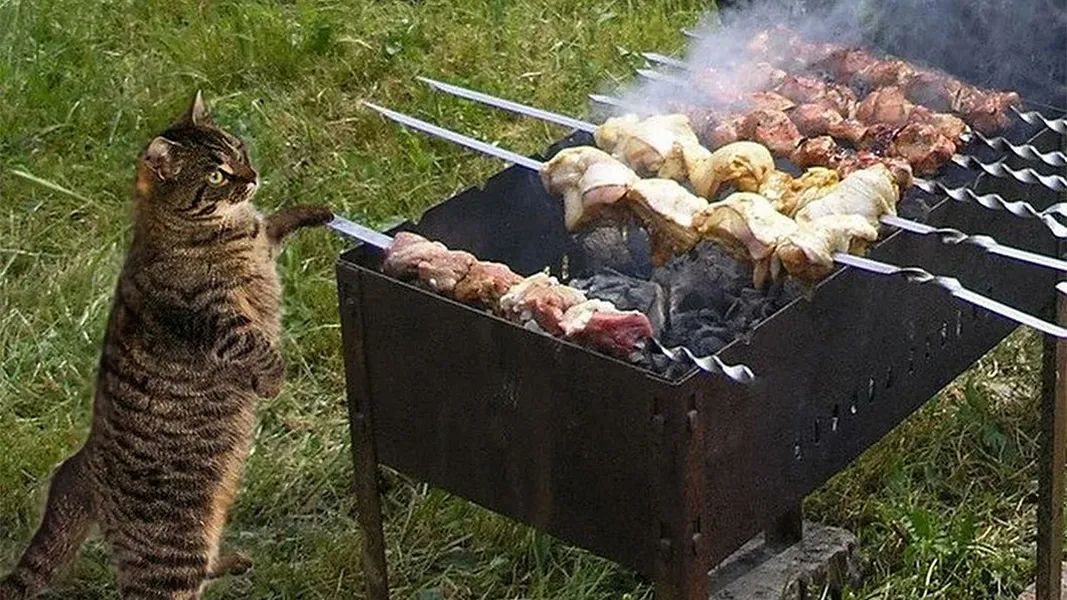 В Госдуме решили, что одноразовые мангалы — злейший враг экологии После массового поедания шашлыков многие оставляют мангалы вместе с другим мусором у рек и в лесах, и поэтому их предлагают запретить Погодите, кто-то действительно использует их один раз?
