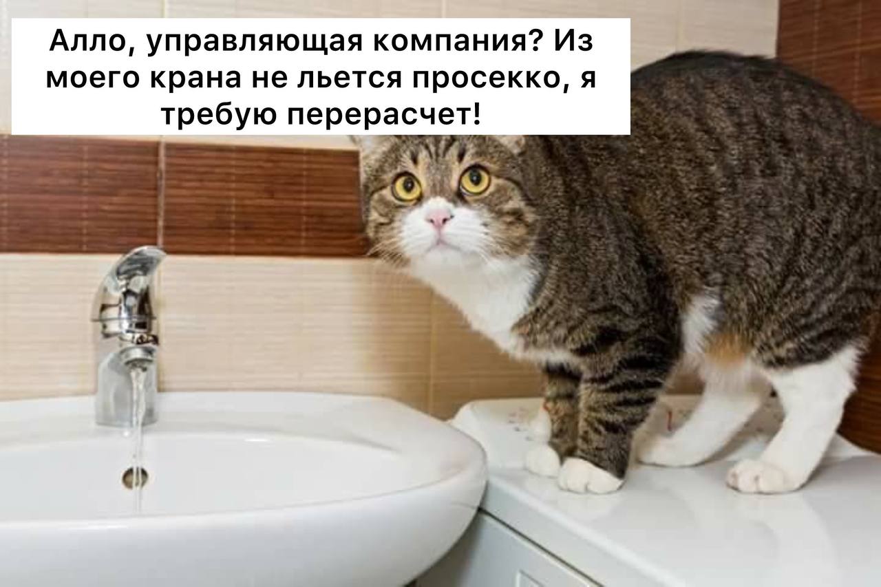 Россияне могут вернуть деньги за некачественную горячую воду эксперты При недостаточной температуре горячей воды граждане РФ могут потребовать оформить перерасчет после обращения в управляющую компанию дома Температура воды в жилых домах должна быть 65 70 градусов При нарушении норм можно потребовать замеров и перерасчёта Подписаться Прислать новость