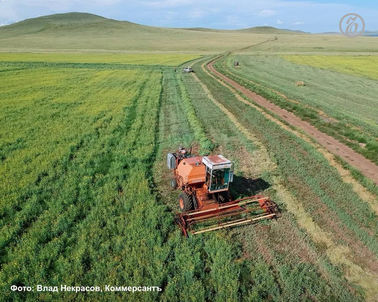 Коммерсантъ Кубань Черноморье Кубанские аграрии увеличили площади сева озимого рапса на 4 7 тысячи га Сейчас аграрии уже засеяли 2 тыс га сообщает администрация региона Озимый рапс одна из важнейших масличных культур Она обладает высокой рентабельностью и стабильным спросом Аграрии приступают к работе в оптимальные агротехнические сроки Они имеют необходимый объем семян отечественной селекции средства защиты растений и горюче смазочные материалы отметил вице губернатор Андрей Коробка Наибольшие территории под эту агрокультуру отведены в Калининском Лабинском Усть Лабинском Белореченском Мостовском Кореновском и Тимашевском районах Подписывайтесь на подробнее на канале Коммерсантъ Кубань Черноморье