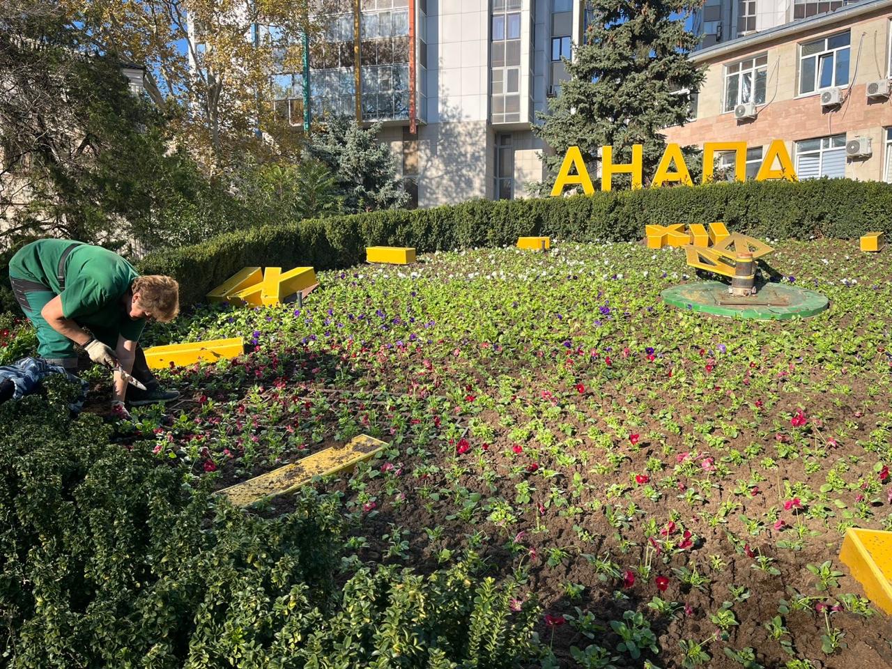 Город готовится к зиме но красок меньше не станет Началась посадка зимников виолы крупноцветковой Белые красные жёлтые и синие цветы уже появляются на знакомых всем локациях Уже высажено более 20 тысяч растений на Цветочных часах мемориалах в сквере по ул Крымской на бульваре Евскина и городских развязках Виола одно из самых устойчивых сезонных растений Она хорошо переносит перепады температуры и мягкую анапскую зиму сохраняя декоративность даже в прохладные месяцы Работы по высадке продолжаются на различных городских территориях Анапа Подпишись MoreOz Присылайте новости yurkaoz Я в МАХ Подпишись