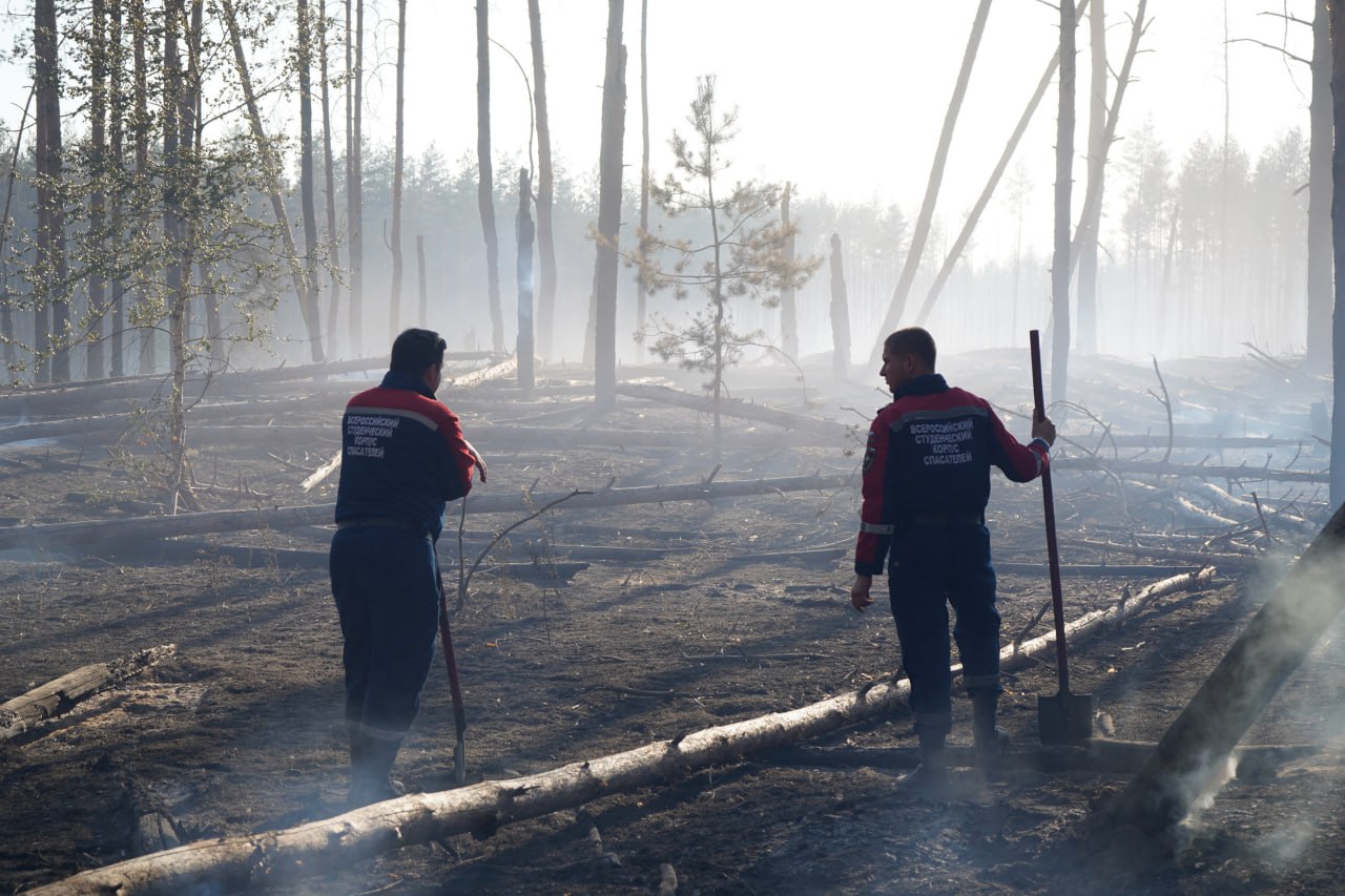 Добровольцы Луганского РО ВСКС помогли ликвидировать ландшафтный пожар под Северодонецком  Сразу после получения информации о возгорании студенты-спасатели оперативно прибыли в село Боброво Северодонецкого городского округа.  Пожар охватил обширную территорию, создавая угрозу не только природе, но и близлежащим населённым пунктам. Добровольцы локализовали возгорание, после чего провели работы по спилу повреждённых огнём деревьев — это позволило предотвратить возможные ЧС, связанные с их падением.  Благодаря слаженной работе студентов-спасателей удалось минимизировать ущерб окружающей среде и устранить угрозу для местных жителей.  #ВСКС #Добровольцы_в_ЧС #Луганск