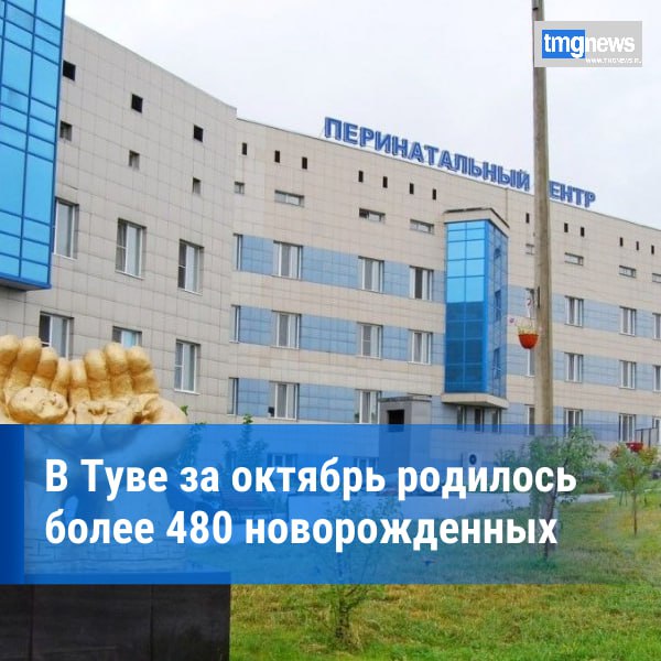 В Туве за октябрь зарегистрировано 489 новорожденных   В октябре 2024 года в Туве органы ЗАГС зарегистрировали 489 новорожденных. Из них 262 мальчика и 227 девочек. Интересно, что самыми популярными именами для мальчиков стали Алдар, Доржу и Начын, в то время как среди девочек чаще всего выбирали имена Амелия, Айлин и Аделина.  Помимо популярных имен, отличились и редкие. Так, среди мальчиков можно встретить имена Угэдэй, Соломон и Сорулга, а среди девочек – Долу-Айчырыы и Аврора. Интересный случай произошёл с двойней, в которой имена детей – Элинэ и Элизэ.  Самый крупный новорожденный мальчик, родившийся в Кызыле, весил 4,846 кг, в то время как самый маленький мальчик, появившийся на свет в Барун-Хемчикском районе, родился шестым в семье и весил лишь 1,190 кг.  По данным Минюста РТ  Фото из открытых источников