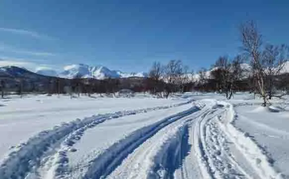 Туристическая группа из семи человек пропала на Камчатке Спасатели готовят поисковую операцию Минувшей ночью стало известно о пропаже семи человек из зарегистрированной туристической группы которая совершала поход по территории Налычевского природного парка 7 апреля путешественников видели последний раз с тех пор связь с Подробности по ссылке   kamtime ru article 14aa4782 22da 41d2 886b 0cee94109ffd