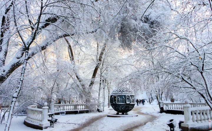 В Ростовской области мороз усилится до –18 °С  В Ростовской области в ближайшие дни ожидается понижение температуры, предупредили в Северо-Кавказском управлении по гидрометеорологии и мониторингу окружающей среды. Кроме этого, в ближайшие дни на дорогах сохранится гололедица, а северо-восточный ветер будет дуть со скоростью 6-11 метров в секунду.  Сегодня днём в регионе будет –3...–8 °С, а предстоящей ночью — с 10 на 11 февраля мороз будет достигать –7...–12 °С с понижением до –18 °С в северных территориях.  11 и 12 февраля в дневные часы будет +1 °С в южных районах и до –7 °С в северных. Ночью столбик термометра будет понижаться до –5...–18 °С.  Схожая погода сохранится в Ростовской области до 14 февраля.  А с утра субботы, 15 февраля, и, как минимум, понедельника, 17 февраля, регион накроет снегопад и станет морознее ещё на 2-3 градуса, как днём, так и ночью.  За фото спасибо Денису Демкову. #новости #ростов #ростовскаяобласть #погода