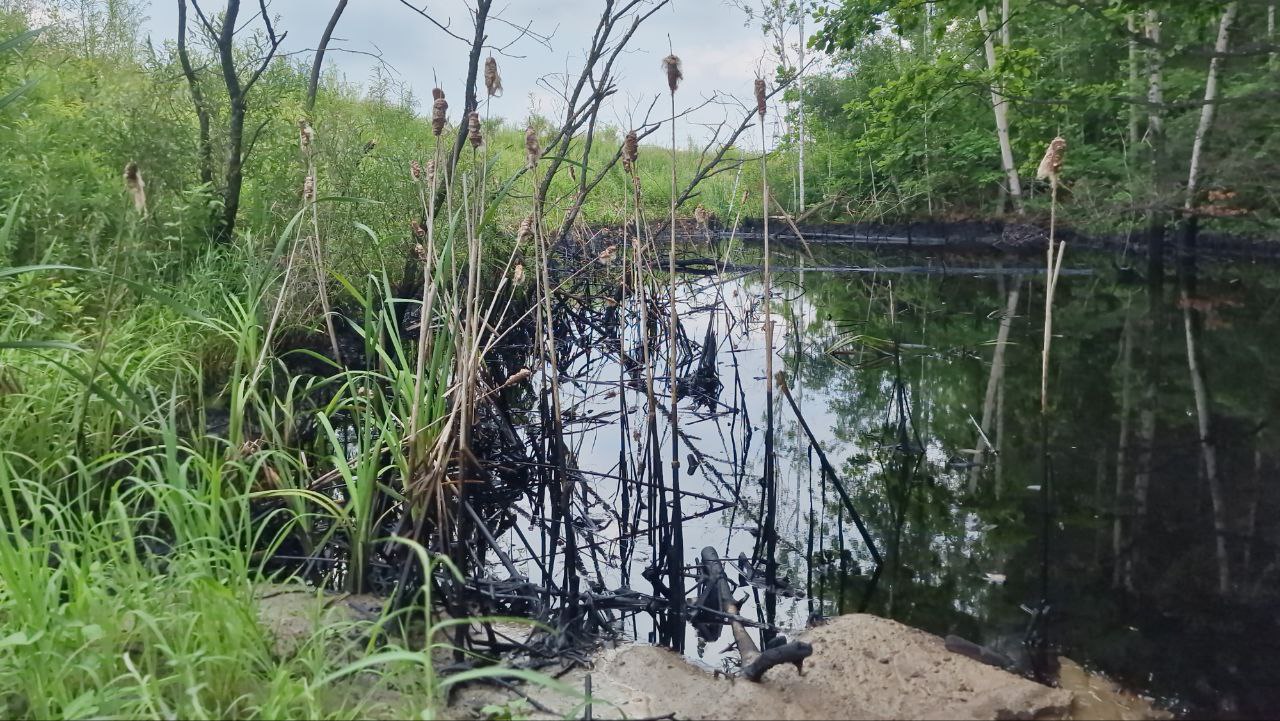 Озеро нефтепродуктов разлилось в Хабаровске  Рядом с промзоной на Воронежской нашли перевёрнутую цистерну и озеро нефтепродуктов.  Представители природоохранной прокуратуры выезжали на местность, проводится проверка.    Подписаться   Прислать новость
