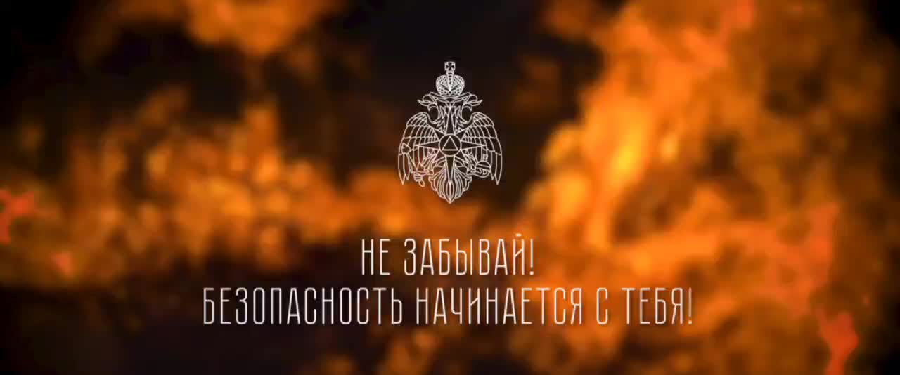 Продолжающаяся борьба МЧС с лесными пожарами: 102 возгорания за сутки