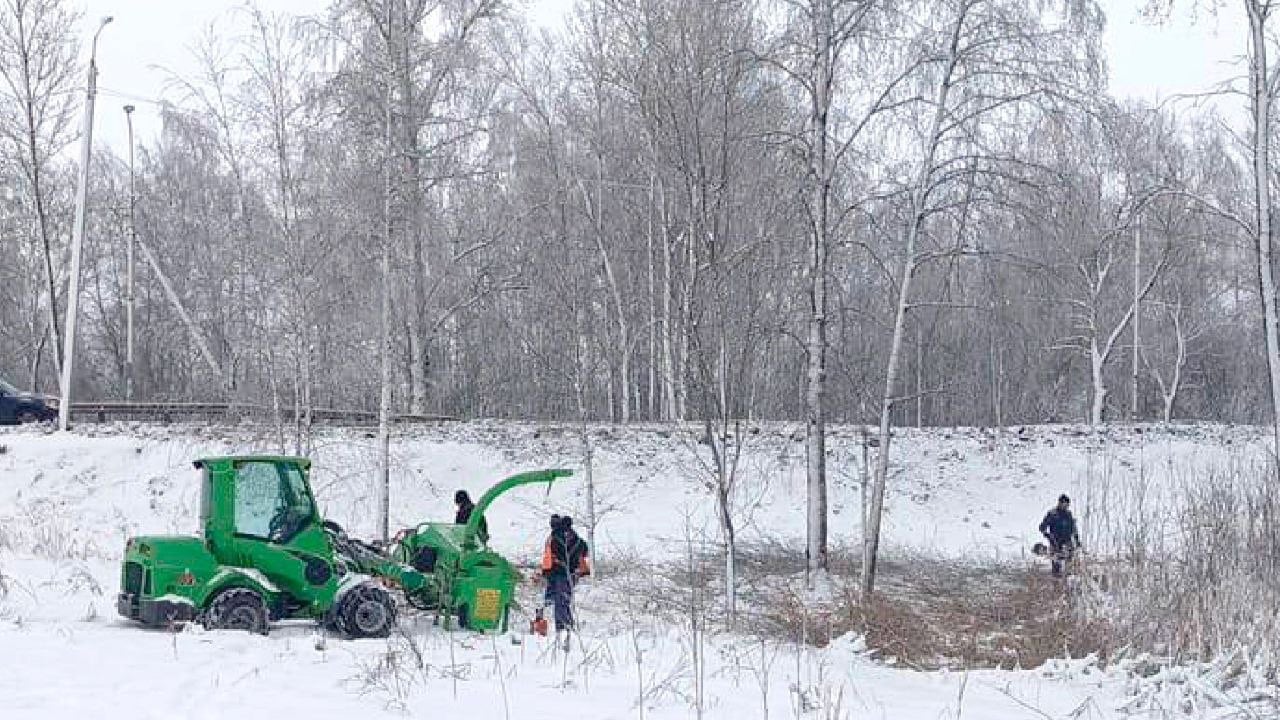 Парки и скверы. На Красном поле приступили к санации леса. Парк очистят от кустарников, дикорастущей древесной поросли, сухих, повреждённых, погибших и упавших деревьев. Начавшиеся работы уже видны с аллеи Николая Антонова. Завершить работы планируют до 1 марта.    Красное поле. Парки Великого Новгорода