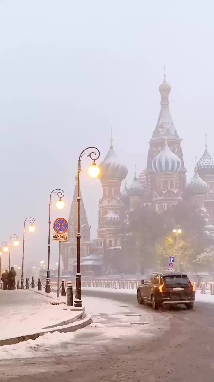 МЧС предупреждает о сильном налипании мокрого снега в Москве