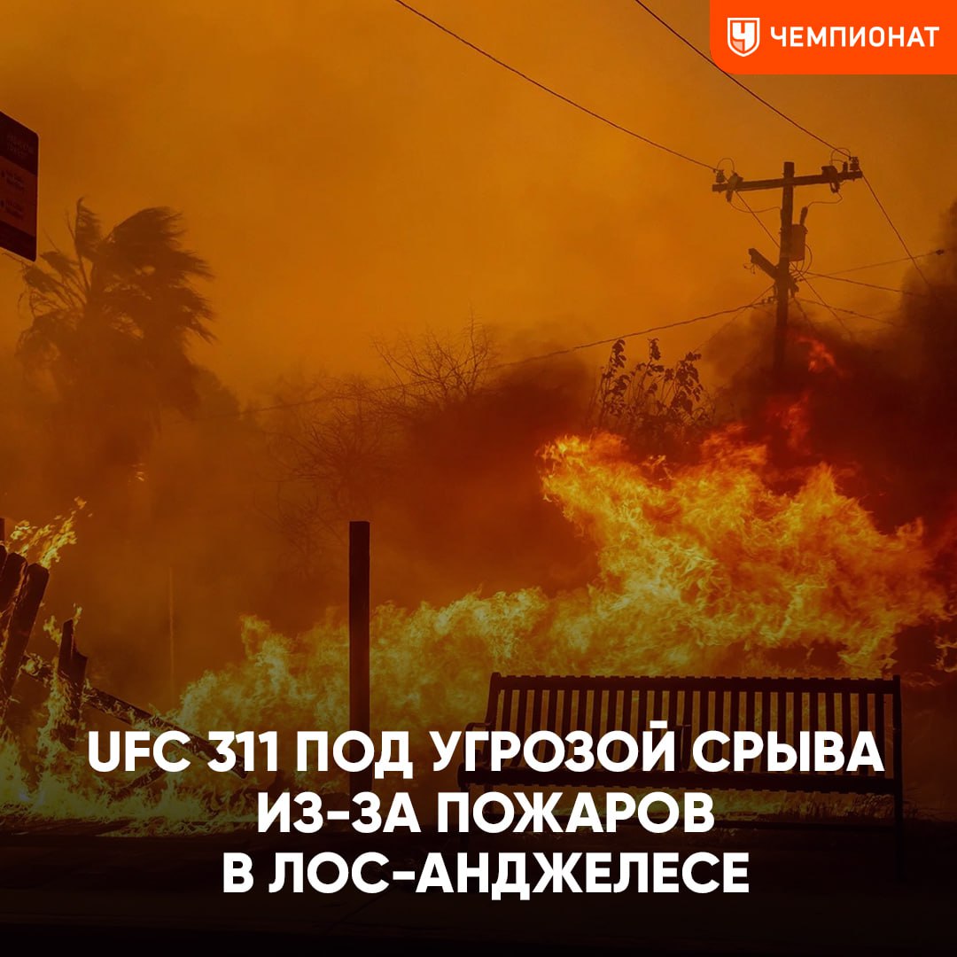 Бой Махачева и другие поединки UFC 311 под угрозой срыва    Всё из-за продолжающихся лесных пожаров в Лос-Анджелесе.    UFC 311 запланировано 19 января на арене «Интьют Доум» в ЛА, в 18 км от самого бедствия   Пожары уже уничтожили около 10 тыс строений в округе Лос-Анджелес, а в элитном районе Пасифик-Палисэйдс, где расположены дома многих голливудских знаменитостей, уничтожено 5316 строений. Также к 10 января погибло 10 человек.    Чемпионат