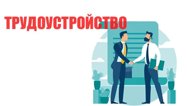В Северной Осетии с начала 2025 года трудоустроили 1,5 тыс. человек Об этом сообщила заместитель председателя комитета по занятости населения Элла Авакова. «С начала текущего года в органы службы занятости обратились более 4 тыс. человек, 61% из которых признаны безработными с назначением пособия. Их численность на 1 июля 2025 года составила 2,5 тыс. человек, трудоустроены - 1,5 тыс.», - сказала она. За 6 лет реализации нацпроекта «Демография» обучение новым специальностям прошли 3,5 тыс. человек.