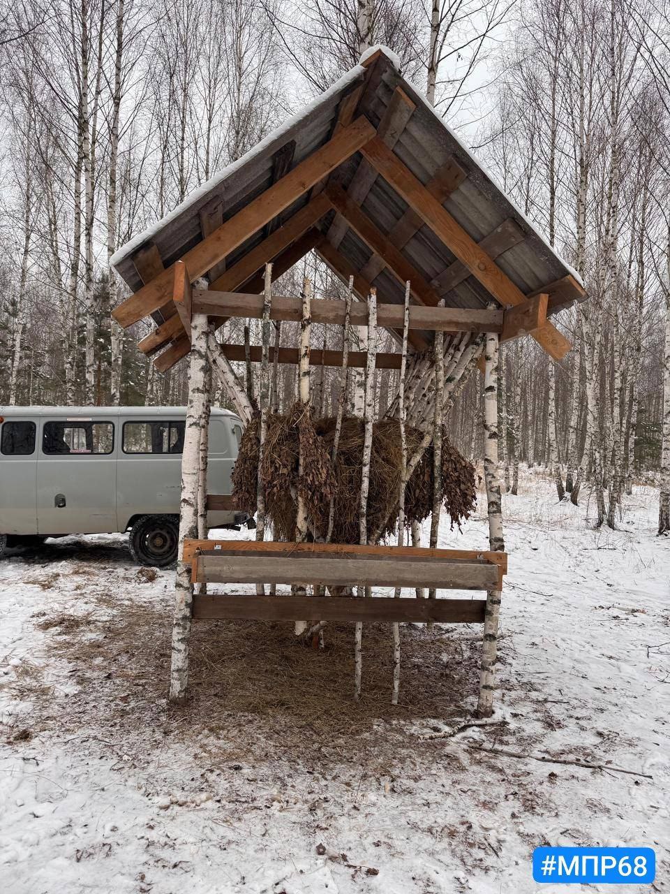 В Моршанском округе установили стационарные кормушки для косули  Они необходимы для поддержания и увеличения численности животных.   "Важно отметить, что данные мероприятия благоприятно скажутся на поддержании и увеличении численности диких животных в угодьях нашего региона",  - отметила министр экологии и природных ресурсов Тамбовской области Алла Албегова.