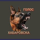 Голос Хабаровска💚🕊💙