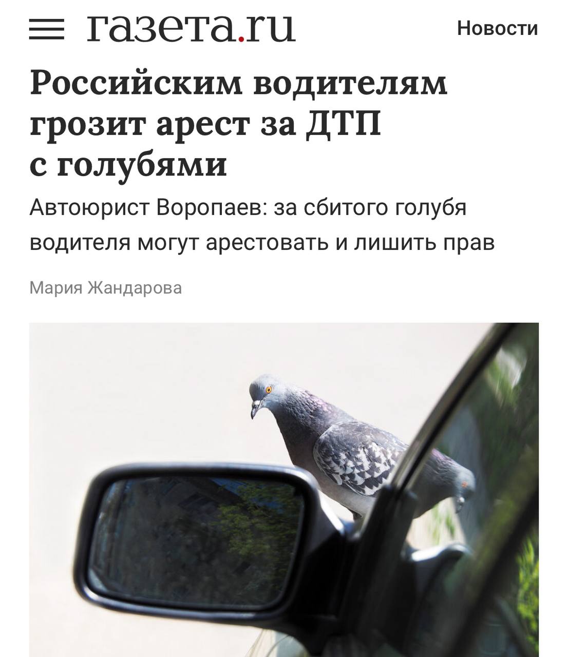 За сбитого на автомобиле голубя могут АРЕСТОВАТЬ или лишить прав рассказал автоюрист Если водитель сбил голубя и уехал с места ДТП то формально его могут привлечь за оставление места аварии За это грозит лишение прав от года до полутора и арест на срок до 15 суток При этом если умышленно сбить целую стаю птиц то за это могут дать лишение свободы от 3 до 5 лет или оштрафовать на 100 тысяч если это совершено впервые Автоподстава которую мы не заслужили techmedia