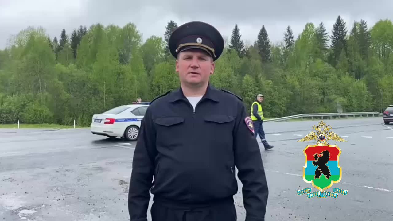 ДТП в Прикамье: водитель Lada Granta погиб в столкновении с лосем