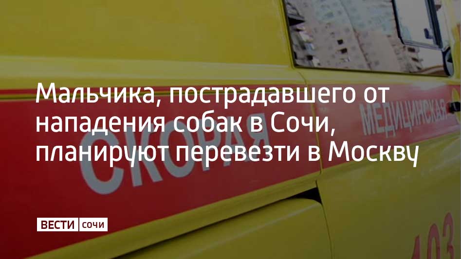 Отец ребенка, лицо которого искусали две домашние собаки в Адлерском районе, рассказал о подготовке к транспортировке.  "Мне уже с утра отзвонилась санавиация, сына будут транспортировать в Москву. Уже точно, мне именно сама санавиация отзвонилась, они должны сюда приехать", - сообщил отец мальчика РИА Новости.  В данный момент девятилетний мальчик находится в искусственной коме. Нос и верхняя губа, которые откусили две хаски, после операции не прижились.