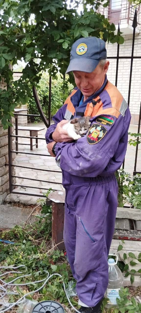 Спасатели Кубань Спасс спасли беззащитного котёнка, который оказался в опасной ситуации! Профессионалы с большим сердцем быстро откликнулись на вызов жителей города, когда малыш провалился в трубу длиной семь метров Самостоятельно выбраться он не мог, и каждая минута была на счету. Благодаря оперативной работе бригады, котёнок был быстро освобожден и спасен! Такие истории напоминают о важности заботы и внимательности к маленьким существам вокруг нас и трогают сердца людей И самое ГЛАВНОЕ: У этого котёнка Кубанчика НЕТ СЕМЬИ, НЕТ ДОМА! Вы могли бы стать его семьёй! Звоните: +79183841427 Поддержать канал голосом: голос! Гелен.ЧП Наш ВКонтакте Геленджик. ЖЕСТЬ 18+ Прислать новость