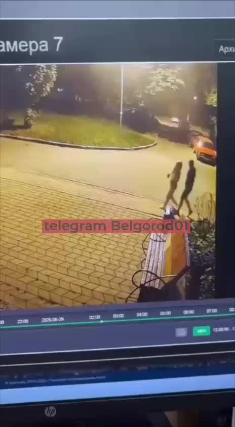 В Белгороде и Липецке зафиксированы кражи растений с клумб