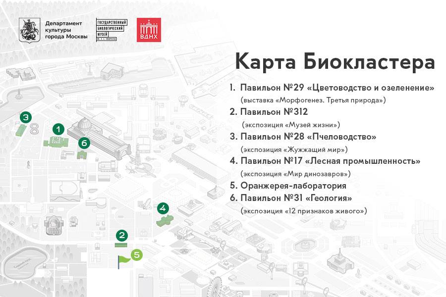 Сергей Собянин рассказал об открытии первого в России биокластерам – он появился на ВДНХ. Это большой проект Биологического музея имени Тимирязева. Благодаря ему наука становится ближе и доступнее. Первая локация – павильон №29 «Цветоводство и озеленение». Там расположится выставка «Морфогенез. Третья природа». По словам мэра, это новая веха в мировой музейно-выставочной практике, где современное искусство интегрировано в мир живой природы. До лета 2026 года откроется еще четыре тематические площадки, посвященные всем разделам биологии. «Москва»