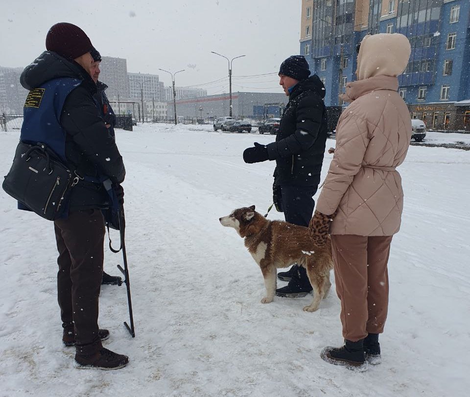 Рейды по контролю за выгулом собак провели чиновники Смольного О вчерашнем рейде в Невском районе сообщил комитет по вопросам законности Чиновники заявили что с момента вступления в силу нового закона на владельцев собак составили 52 протокола на общую сумму 115 тысяч рублей Детали Также сотрудники комитета рассказали что провели свыше 50 разъяснительных бесед В феврале проверки уже прошли в Центральном Красносельском и Калининском районах 20 января комитет писал о проверках в Выборгском Московском и Кировском районах Закон который ужесточил правила выгула и содержания собак вступил в силу 21 ноября В тот же день комитет отчитался о рейде в Московском Парке Победы Новый закон депутаты Закса приняли в конце октября Он увеличил до 3 5 тысяч рублей штрафы за выгул собак выше 40 сантиметров в холке без намордника или выгул двух таких собак одновременно Минимальный возраст в котором таких собак можно выгуливать повысили с 14 до 16 лет Владельцам также запретили находиться с собаками в заведениях и возле учреждений если это прямо не разрешено их внутренними правилами Критика В декабре владельцы собак запустили сбор подписей за пересмотр правил К концу года под обращением в суд прокуратуру и к депутатам подписались более полутора тысяч человек Активисты считают что приравнивание всех собак выше 40 сантиметров к опасным породам лишает их владельцев возможности полноценно социализировать питомцев Фото комитет по вопросам законности Подписывайтесь на Бумагу и предлагайте новости