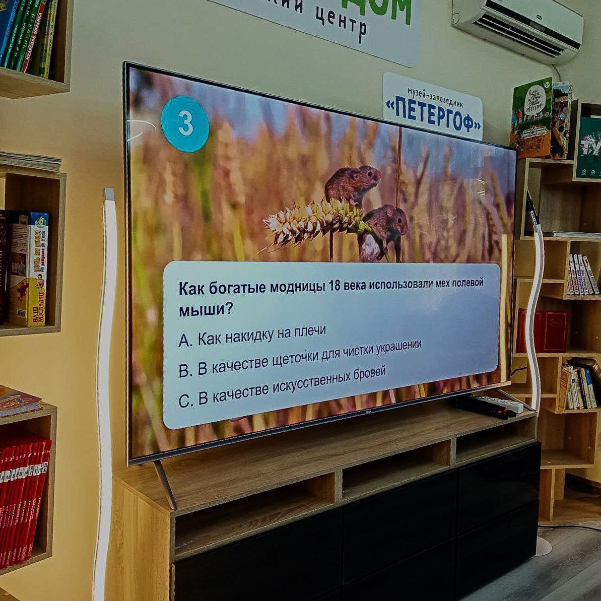 В Мелитополе ко Дню молодежи прошли интерактивные мероприятия, организованные отделом молодежной политики и отделом культуры МКУ «Управление культуры, спорта и молодежной политики». Молодежь участвовала в викторине «IQ-вечеринка», где соревновалась в знаниях о культуре, кино и истории, а также в открытом диалоге, обсуждая карьерные перспективы, общественную деятельность и личностное развитие. На мероприятии присутствовали депутаты Законодательного Собрания Запорожской области Алена Трокай, Кристина Параскан и Максим Любезный, которые предложили совершеннолетним участникам присоединиться к работе молодежного парламента региона.