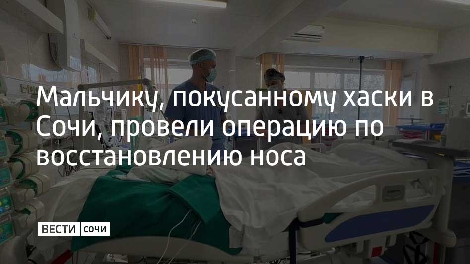 Хирурги Российской детской клинической больницы провели операцию по восстановлению носа мальчику, которого покусали собаки в Сочи. Операция длилась шесть часов, материал для восстановления взяли с лобной части черепа, оттуда брали костную ткань, которую ранее растягивали экспандером, и накладывали на область носа. Мальчик уже перенес три операции реконструктивно-пластического этапа, одна из которых длилась 14 часов, пишет ТАСС. Следующий этап после реабилитации – это восстановление губы. Как ранее сообщали "Вести Сочи", 26 февраля две собаки породы хаски, которых владелец не кормил несколько дней, сорвались с цепи и набросились на 9-летнего мальчика. Инцидент произошел в СНТ "Авиатор" в Адлерском районе Сочи. В данный момент ребенок проходит сложную реабилитацию