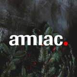 AMMIAC. МЕДИА