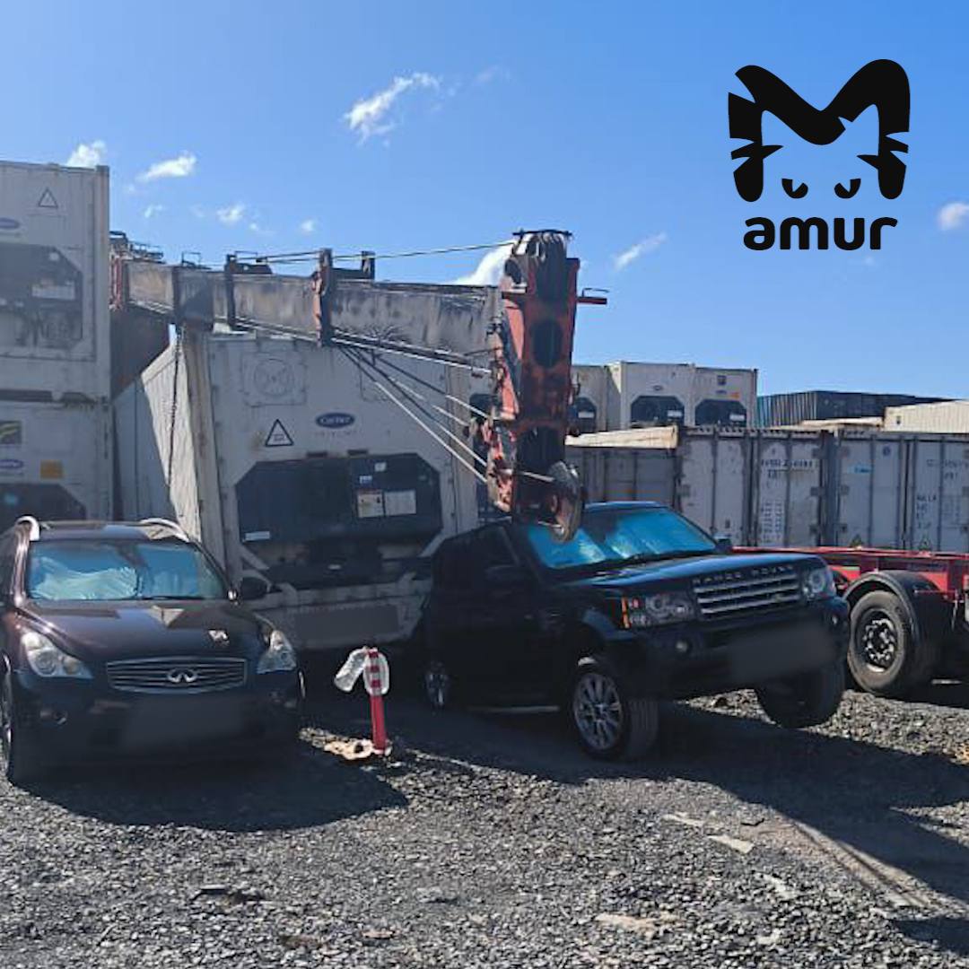 Кран упал на люксовые авто во Владивостоке.  Произошло это на контейнерном терминале на улице Фадеева. Пострадали Infiniti EX35 Elite и Range Rover.