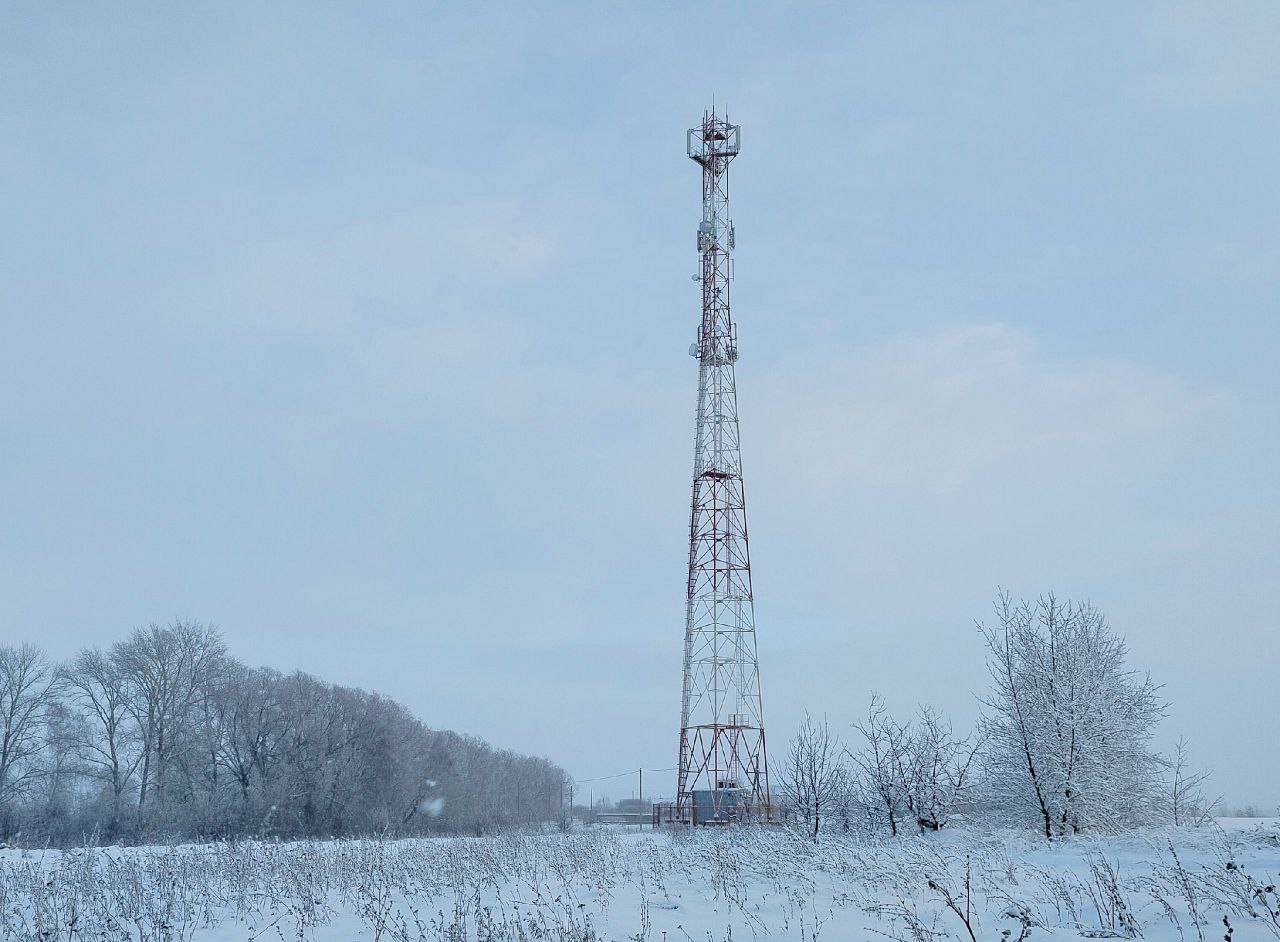 В Богатовском районе расширили сеть LTE   Качественная связь и высокоскоростной интернет теперь доступны жителям шести населенных пунктов. В общей сложности это более 2500 человек, сообщает цифровая экосистема МТС.  Модернизировали телеком-оборудование и установили новые базовые станции в селах Богатое, Ивановка, Съезжее, Печинено, а также поселках Центральный и Заливной. Благодаря новому покрытию жители и гости района смогут всегда оставаться на связи, делиться фото и видео с родными и близкими, без помех пользоваться навигатором для поездок и другими цифровыми сервисами.     !