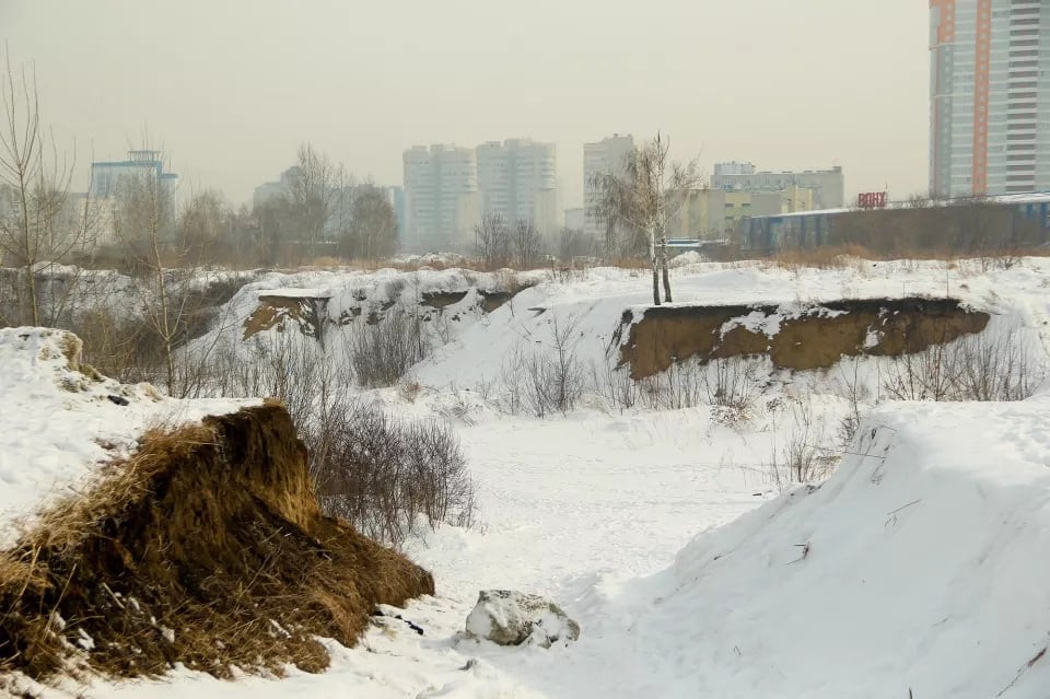 260 млн рублей выделят в этом году на благоустройство парков  Часть денег предполагают потратить на территорию по улице Шумакова, 9.   В этом году запланирован запуск первого этапа реконструкции. Этой зимой на территорию с оврагом снова зачастили грузовики с грязным снегом. После нескольких неудачных попыток им все же перекрыли путь на территорию.   Вопрос несанкционированных свалок рассмотрели на февральском совещании в мэрии Барнаула. Организаторы заверили активистов, что будут держать ситуацию на контроле. Центральной темой встречи все же была грядущая реконструкция. Отдельно речь зашла об озере. Специалистам предстоит проработать множество задач, центральное место среди которых занимают меры водоотведения. Сроки проведения работ пока не объявляли.   Как сейчас выглядит территория с оврагами - смотрите в фоторепортаже.     ТОЛК