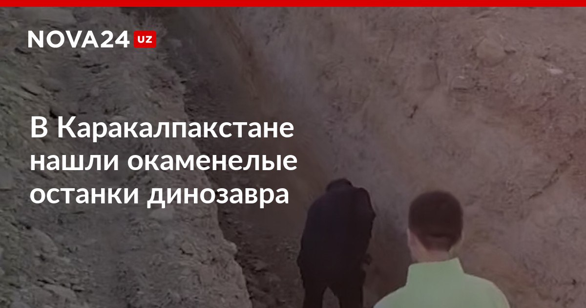 В Каракалпакстане нашли окаменелые останки динозавра По предварительным данным археологов найденное древнее животное обитало примерно 75 миллионов лет назад nova24 uz 308133 NOVA24 LIVE