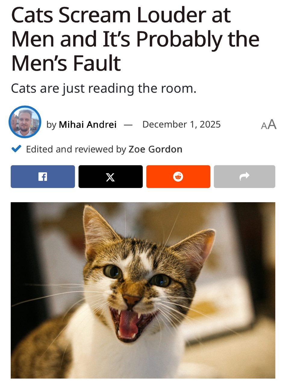 Кошки орут на мужиков чаще и громче чем на женщин показало исследование Если вам казалось что при появлении хозяина мужчины коты мяукают интенсивнее вам не казалось Учёные засняли на видео кошачье приветствие женщин и мужчин Когда заходят женщины коты чаще всего поднимают хвост трутся о ноги и тихо мяукают При виде мужчины хозяина кошки начинают неистово ОРАТЬ Главная причина почему так происходит мужчины просто не слушают и не реагируют если на них не наорать Дал корм сам Наорала