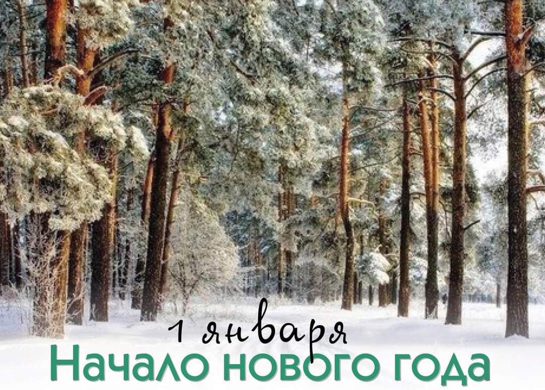 Народный календарь 1 января начало нового года По поверьям каков первый день января таким и первый день лета будет а еще погода этого дня указывает на погоду июля Если ночь звездная лето на ягоды щедрым будет а луна яркая советует по весне бобовых побольше сеять урожай гороха фасоли бобов порадует Обильные снега и сильные морозы предвещают хороший урожай хлеба а ветреная погода сулит изобилие орехов Верили что в первый день наступившего года можно заказать и отменный урожай яблок и груш достаточно лишь постучать по дереву в саду и по осени оно щедро одарит плодами А вот тяжелой работы рекомендовалось избегать иначе весь новый год можно в работе без отдыха провести