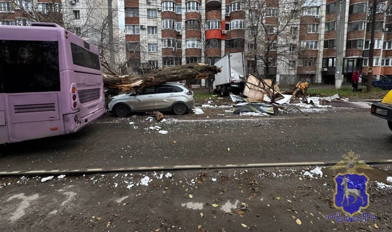 В Самаре автобус протаранил Газель и свалил дерево на Lada X Ray Происшествие случилось 9 ноября в Кировском районе города oboz info v samare avtobus protaranil gazel i svalil derevo na lada x ray