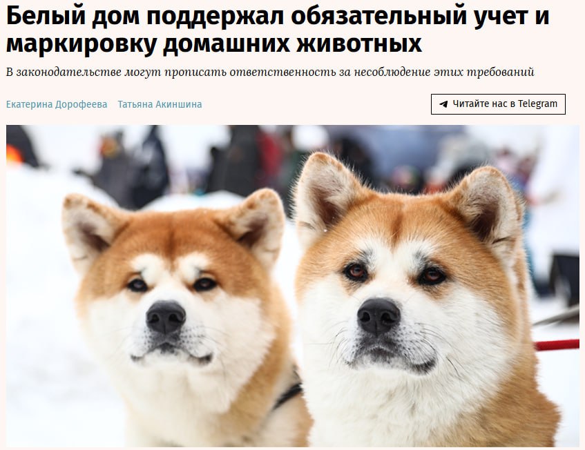 Правительство при условии доработки поддержало законопроект который обяжет маркировать домашних животных и вносить о них информацию в федеральную государственную информационную систему в области ветеринарии jkinvest news jkinvest