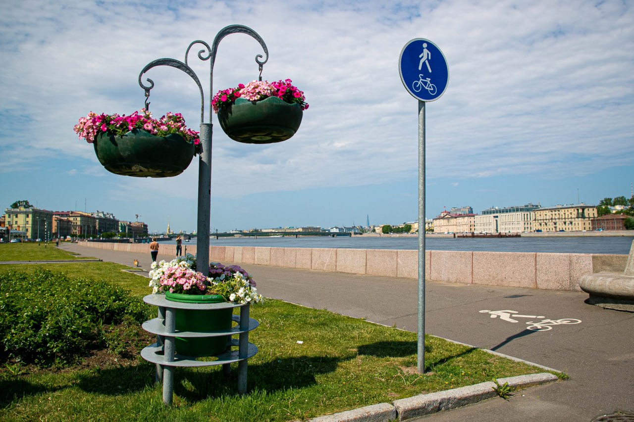 Погода ухудшится в Петербурге завтра, 3 июля. По информации ГУ МЧС, в городе будет дождь, гроза, порывы ветра могут достигать 20 метров в секунду.  Температура воздуха при этом составит 26-28 градусов, но в пятницу в Северной столице станет прохладнее.  Фото: Дарья Каменская/Город+