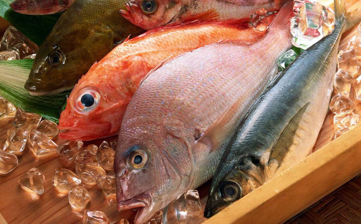 Импортную рыбу решили исключить из госзакупок Правительство России введет запрет на закупку рыбной продукции из зарубежных стран для государственных и муниципальных нужд за исключением стран ЕАЭС Этот запрет вступит в силу с 1 июля 2026 года Кабмин внес изменения в постановление от 23 декабря 2024 года 1875 касающееся национального режима в госзакупках Запрет касается свежей охлажденной и мороженой рыбы код ОКПД 2 10 20 1 приготовленной или консервированной рыбы икры и заменителей икры код ОКПД 2 10 20 2 а также ракообразных моллюсков и прочих беспозвоночных водных код ОКПД 2 10 20 3 Исключение составляют рыба и морепродукты из перечня иностранной продукции с ограничениями при госзакупках Ожидается что изменения способствуют увеличению потребления отечественной рыбной продукции fishto biz новости