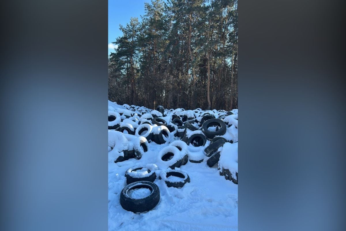 В Воронеже на 40 тысяч рублей оштрафовали первого нарушителя за незаконный выброс шин     Помощь в обнаружении нарушителя оказали неравнодушные воронежцы, зафиксировавшие момент выброса отработанных покрышек на видео. Ранее управа района уже проводила работы по ликвидации этой свалки, однако нарушитель продолжил свои незаконные действия.  ↗  Прислать новость   Подписаться