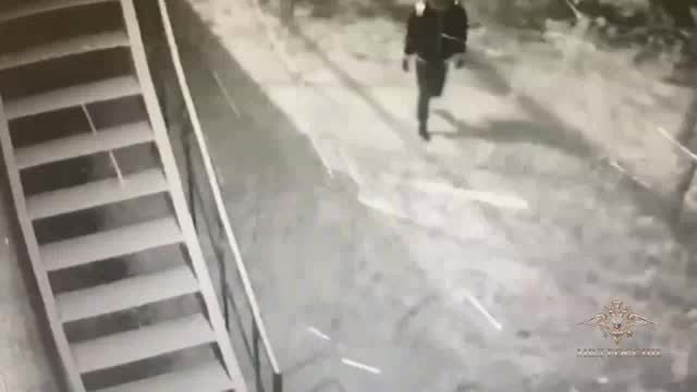 В Подмосковье задержаны подозреваемые в краже 104 картин на 32 млн рублей