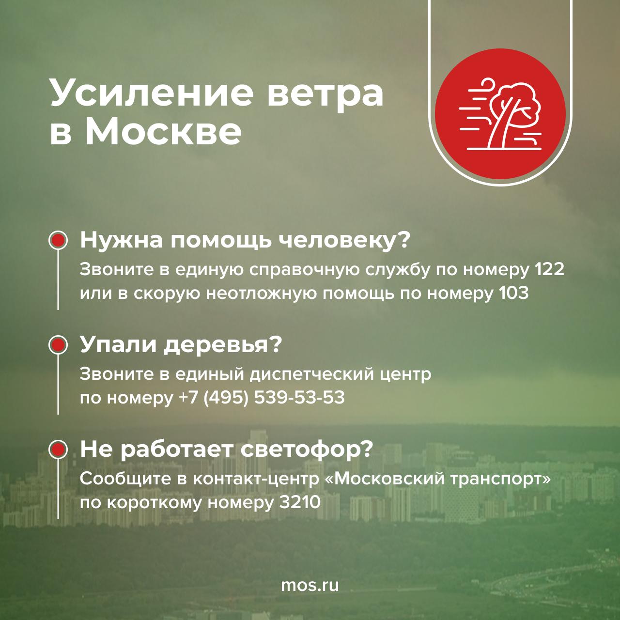 29 и 30 мая в Москве ожидается сильный ветер. Его порывы могут достигать 17 м/с. Будьте осторожны на улице и обходите шаткие конструкции. Не оставляйте машины под деревьями. -канал «Город Москва», чтобы узнавать о погоде в столице первыми.