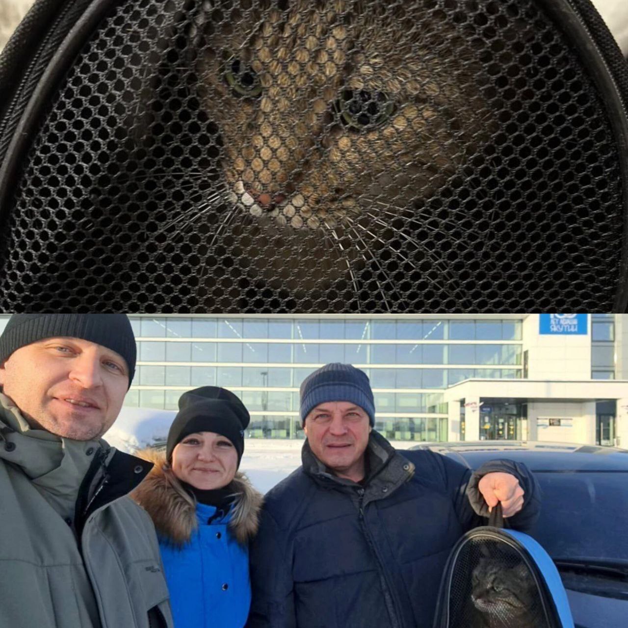 Не у нас но интересно новости России Кот Федос неделю странствовал по железной дороге в России И в итоге вернулся домой Хвостатый отправился в путешествие со своей хозяйкой Во время остановки в Казани он сбежал из переноски а женщина выйдя на поиски и не найдя кота осталась на вокзале Пока хозяйка находилась в Казани вагон с котом отправился в Москву затем обратно в Улан Удэ а оттуда через Красноярск в Нерюнгри Финальной точкой маршрута стала Тында где животное и было найдено Семья воссоединилась Фото ТГ канал 112   теперь в МАХ