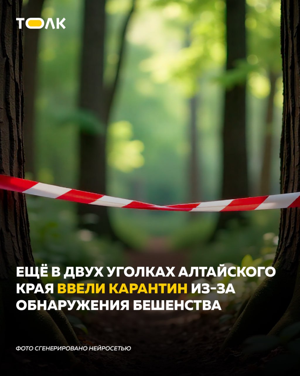 ТОЛК новости Барнаула Алтайского края и Республики Алтай Сразу два новых очага бешенства выявили в Алтайском крае Первый эпизоотический очаг выявили в селе Тюменцево райцентр Тюменцевского района на территории личного подсобного хозяйства Второй случай зарегистрирован также в ЛПХ но уже в селе Плесо Курья Хабарского района В обоих случаях на территории ввели карантин Так общая численность выявленных случаев бешенства в Алтайском крае достигла 18 Столь высокий показатель ставит очередной антирекорд ТОЛК ТОЛК в Мах