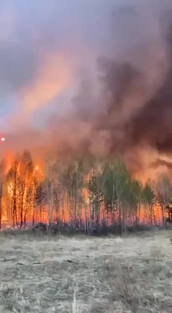 Опасные уровни загрязнения воздуха зафиксированы в Бурятии из-за лесных пожаров