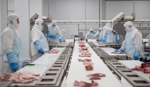 В Ишиме появится современный комплекс по производству мяса индейки, а в Упорово будет создан еще один племенной репродуктор. Соглашение о намерениях реализовать инвестиционные проекты по расширению бизнеса подписано губернатором Тюменской области Александром Моором и руководством ГК «Дамате» на Петербургском международном экономическом форуме.  Это почти 30 млрд рублей инвестиций и более 1 тысячи рабочих мест. Инвестор уже построил в Тюменской области репродуктор индейки и животноводческий молочный комплекс на 13,5 тысячи голов КРС. Предприятия «Дамате» работают также в Пензенской, Ростовской областях, в Ставропольском крае, в Карачаево-Черкесской Республике и в Санкт-Петербурге.