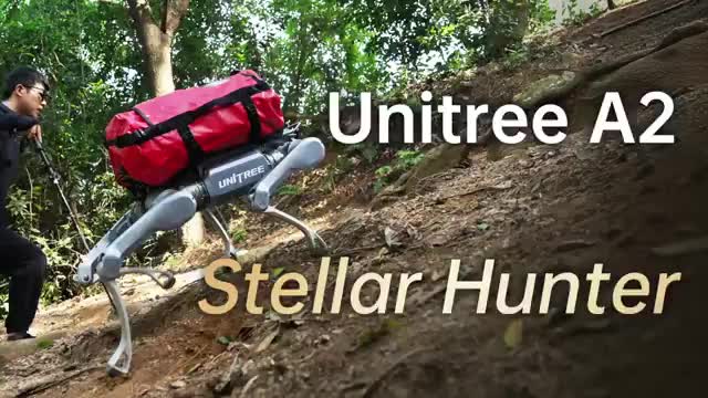 Китайская компания Unitree представила робота-пса Stellar Hunter с впечатляющими возможностями